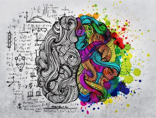 Kreativna in razumna stran možganov